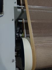Microwave Drying Oven for Pulp Molding Curing: Rapid Moisture Removal System for Plant Fiber Food Packaging