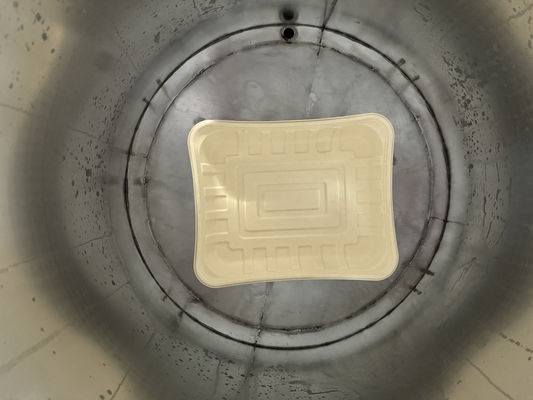 High-Speed Fully Automatic Spin Coater for Pulp Molding with 1040 mm Max Coating Width