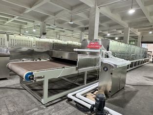 Food-Grade Microwave Sterilization and Drying System | Preserving Nutrition & Enhancing Shelf Life
