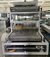 Double Layer Natural Gas Industrial Drying Machine Stainless Steel Punching Chain Plate Belt For Pulp Mold Bottle Tableware High End Industrial Package