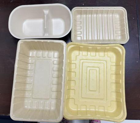 Smart 24-Station Spin Coating Line for Water/Oil Barrier Coating of Pulp Molded Tableware