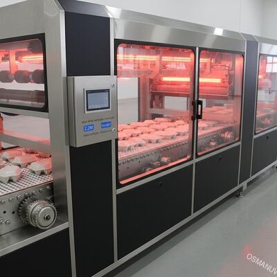 High-Speed Energy-Efficient 2.2M Infrared Drying Conveyor for Molded Pulp Surface Coating
