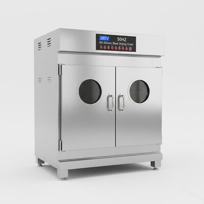 380V 50HZ Two Door Constant Temperature Oven , W1300Mm Blast Drying Oven