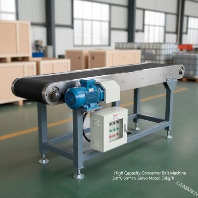 High Capacity Conveyor Belt Machine 2m*0.6m*1.5m with Servo Motor for 50kg/h