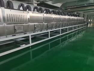 Continuous Microwave Drying Equipment for Herbs and Fruits | Energy Saving & Eco-Friendly