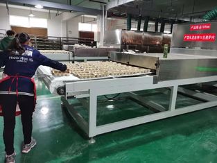  Industrial Microwave Fruit Dryer & Herb Dryer Machine | High Efficiency & Quality Preservation