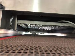 High-Speed UV Sterilization Machine for Food Packaging | Continuous Inline Disinfection