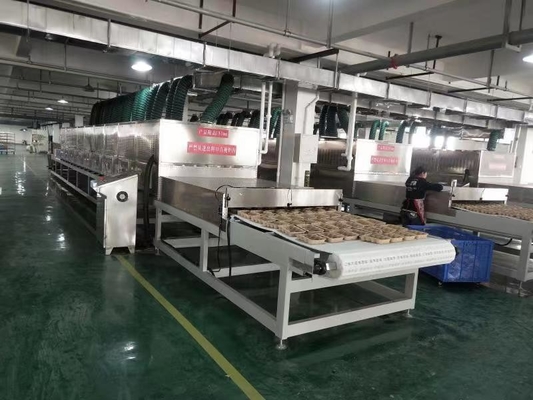 High Capacity Microwave Vacuum Dryer System - Customized 1-10T/h