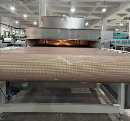 Customizable Microwave Drying Line for Pulp Molding with Modular Multi-Zone Design and PLC Control