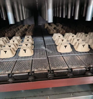 Customized Double-Layer Natural Gas Drying Production Line for Furniture Panels and Pulp Molding