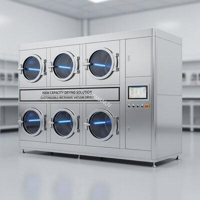 High Capacity Drying Solution Customizable Microwave Vacuum Dryer