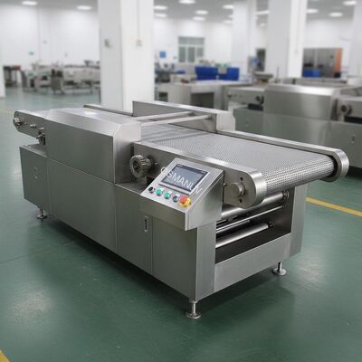 Stainless Steel Conveyor Belt Transfer Machine with Automatic Operation for Efficiency