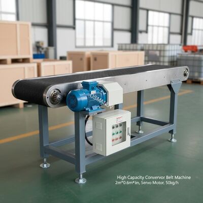 High Capacity Conveyor Belt Machine 2m*0.6m*1.5m with Servo Motor for 50kg/h