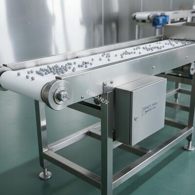 50kg/h Capacity Belt Conveyor System For Smooth And Continuous Material Handling