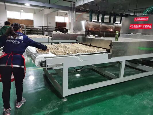 Precision Microwave Drying Machine for Molded Pulp | High-Quality Finish & Uniform Drying