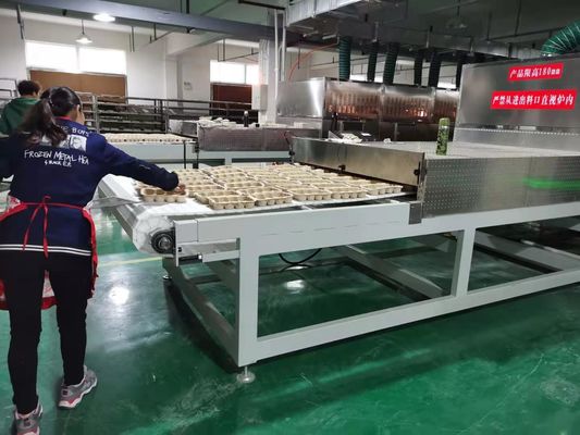 Industrial Microwave Drying Line for Wood Panel Processing: Rapid Moisture Removal System for Lumber and Composite Boards