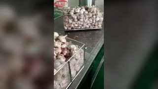 Fast Garlic Drying Machine
