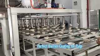 24-Station Spin Coating Line&Precision Barrier Coating Line for Pulp Molded Packaging